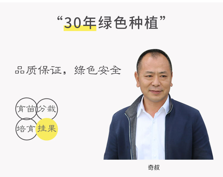 【每日精选】安岳黄柠檬新鲜水果5斤装柠檬果子生鲜水果柠檬新鲜柠檬泡水