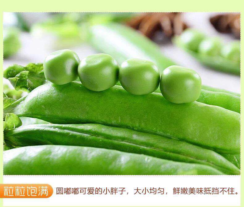 云南豌豆荚当季新鲜蔬菜农家自种带壳大青豆荷兰甜豆角3/5/10斤