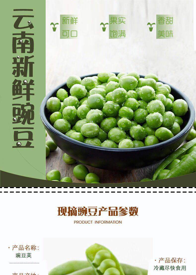 云南豌豆荚当季新鲜蔬菜农家自种带壳大青豆荷兰甜豆角3/5/10斤