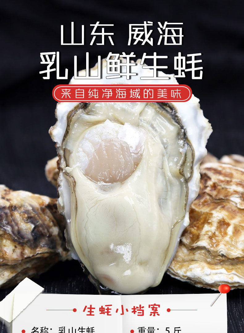 【顺丰速运】乳山大生蚝鲜活生蚝牡蛎水产新鲜带壳贝类海蛎子现捞