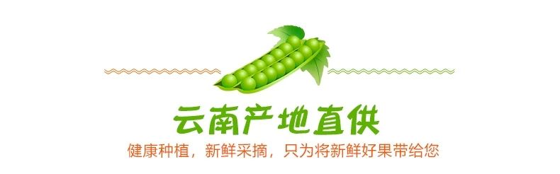 云南新鲜水果豌豆荚10斤带壳大青豆荷兰甜豆角蔬菜类新鲜蔬菜3斤