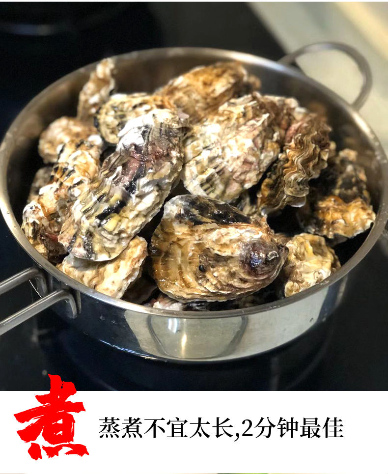 乳山生蚝鲜活生蚝肉新鲜大牡蛎带壳海蛎子贝类海鲜水产6斤整箱