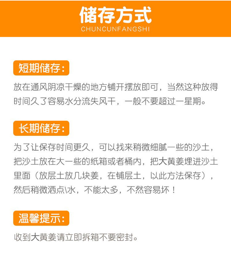 四川生姜老姜现挖大黄姜10斤老母姜新鲜蔬菜月子姜非小黄姜2/5斤