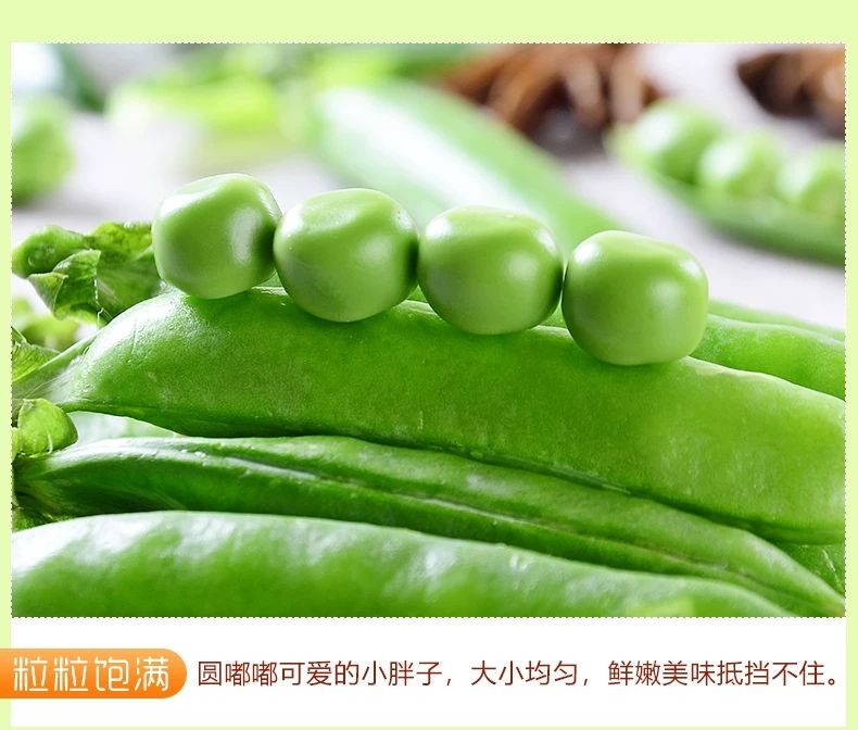 云南新鲜水果豌豆荚10斤带壳大青豆荷兰甜豆角蔬菜类新鲜蔬菜3斤