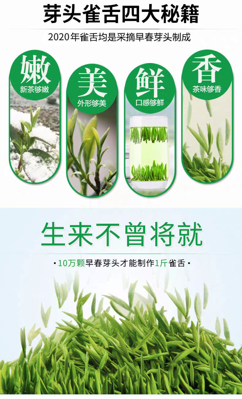 【精选好茶】雀舌茶叶绿茶2020新茶贵州湄潭翠芽特级浓香型礼盒装