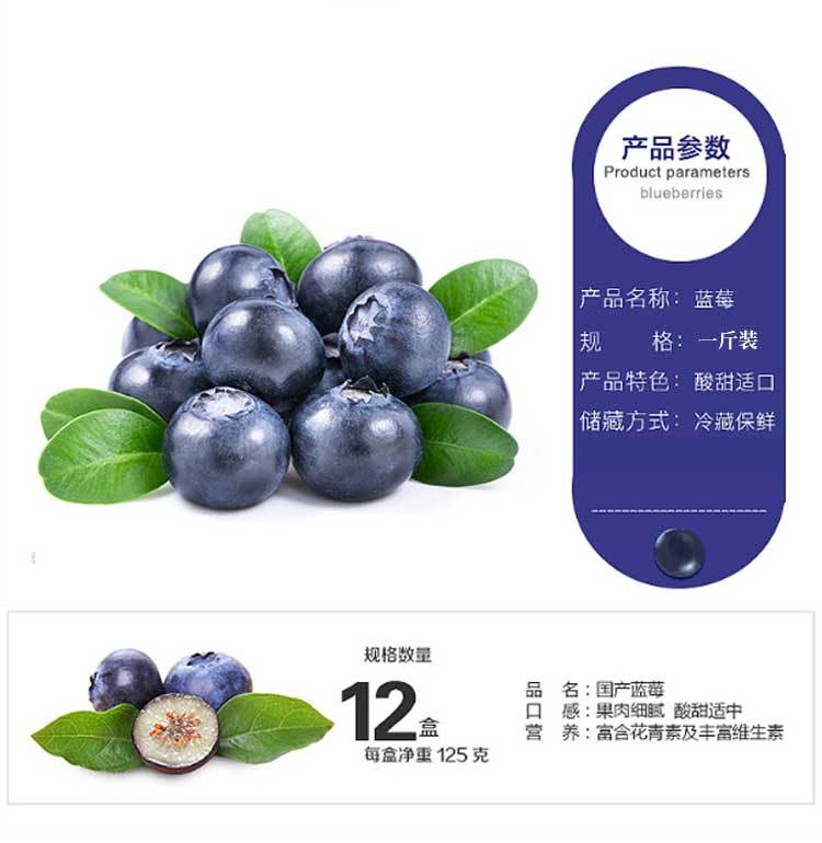 新鲜蓝莓鲜果一斤四盒装当季蓝莓大果庄河现货