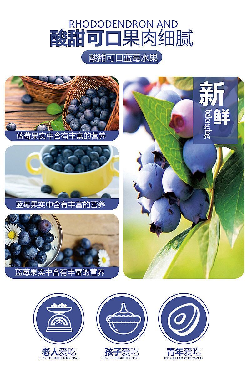 8盒蓝莓【特大果】125g\每盒新鲜鲜果孕妇水果宝宝辅食2盒4盒6盒
