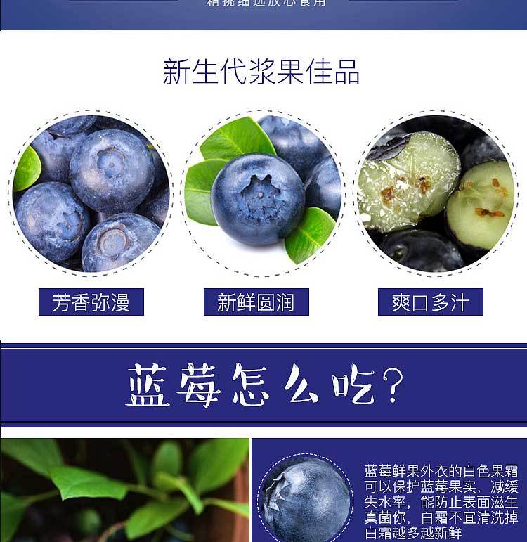 新鲜蓝莓鲜果一斤四盒装当季蓝莓大果庄河现货