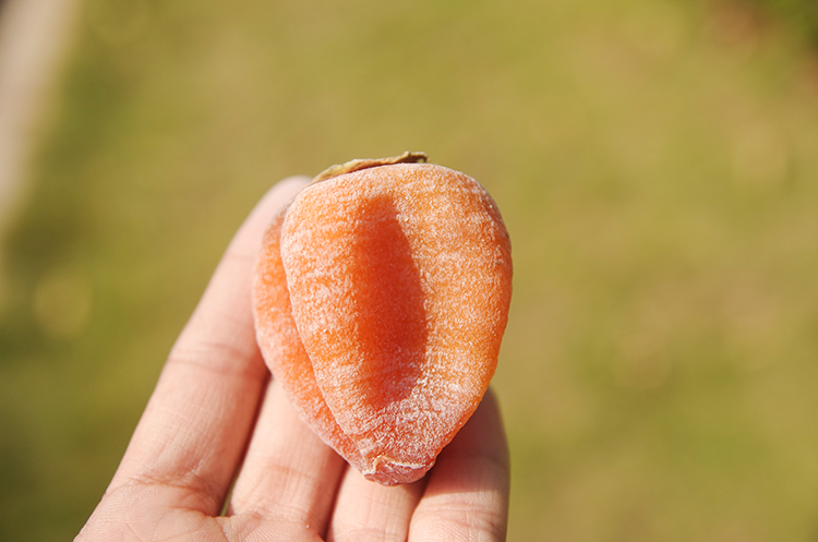 新鲜柿饼子广西桂林恭城柿饼礼盒装柿饼吊柿子零食超陕西富平柿饼