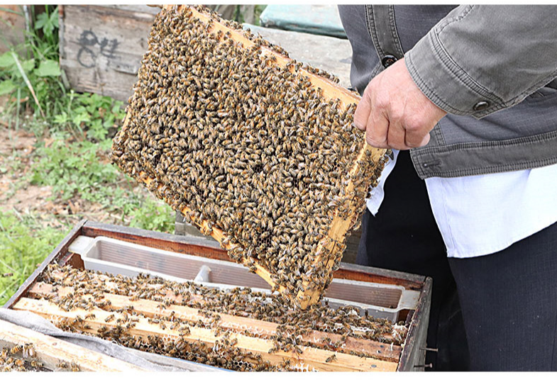 蜂蜜天然正品纯野生深山百花蜜农家自销自然成熟封盖土蜂蜜