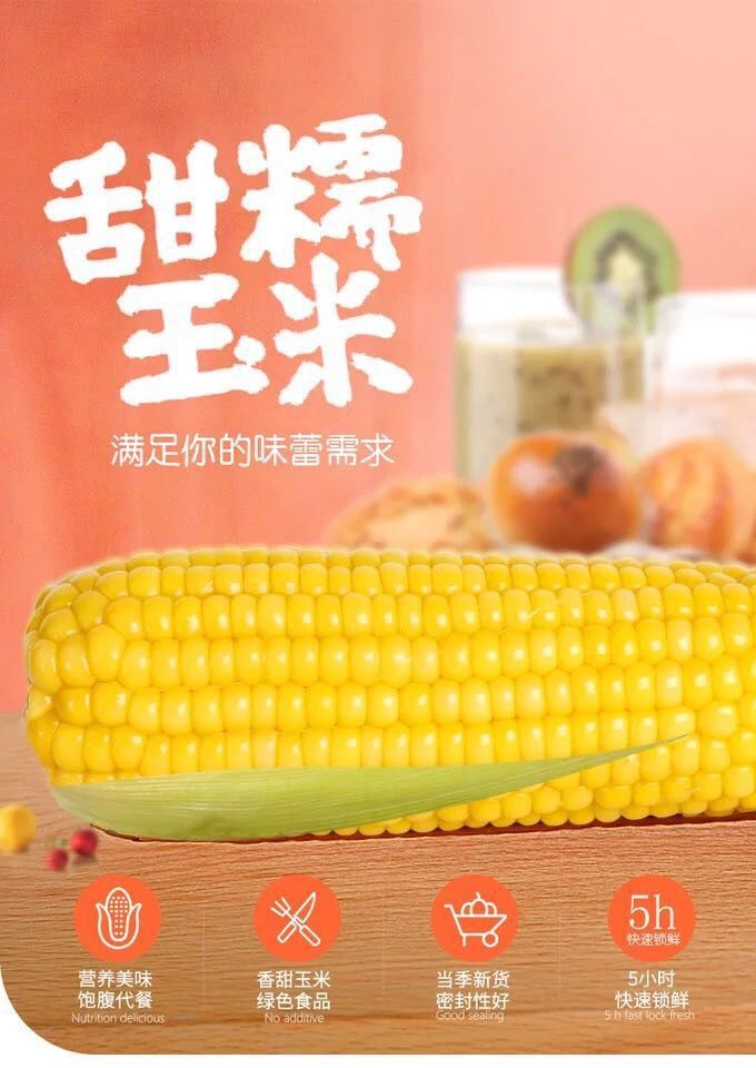 【8根】山西糯玉米新鲜真空包装甜糯粘玉米黏玉米粗粮玉米棒白玉米黄玉米