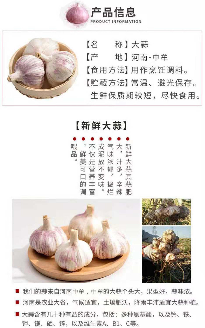 辣味纯正白皮大蒜批发坏果包赔