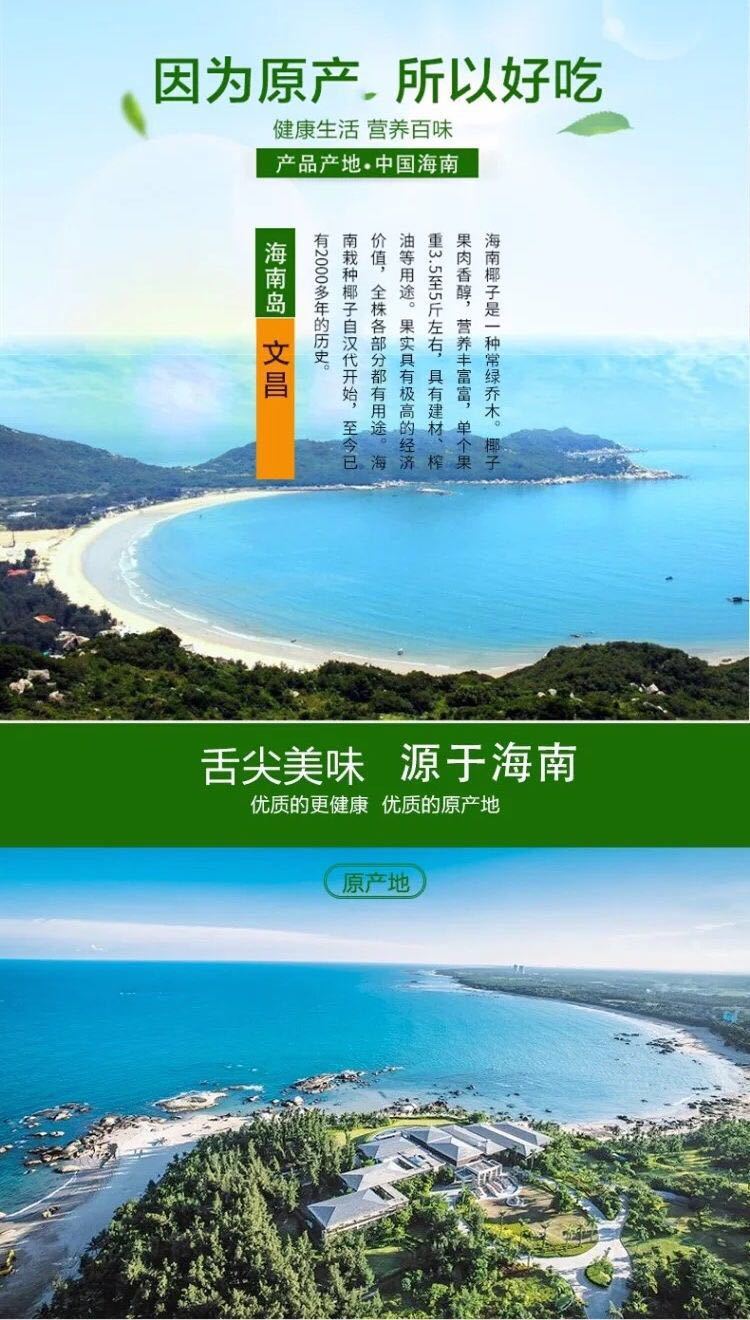 【4个29.9】海南老椰子新鲜去皮孕妇营养水果炖汤水果包邮