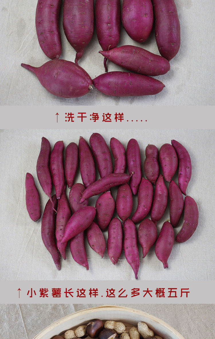 紫薯红薯新鲜蔬菜现挖现发地瓜粉糯香甜净重5斤