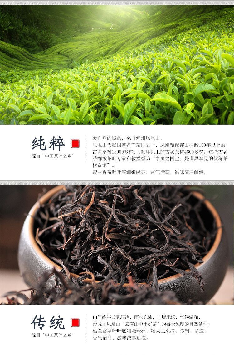 蜜兰香潮州凤凰单枞茶500g 浓香型乌岽高山新春单丛茶 乌龙茶 茶叶