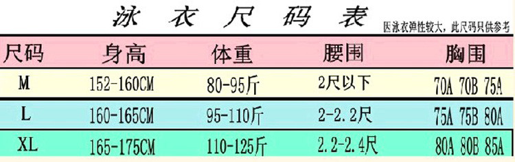 温泉沙滩性感泳衣女小胸聚拢遮肚显瘦钢托露背泳装三角分体泳衣女