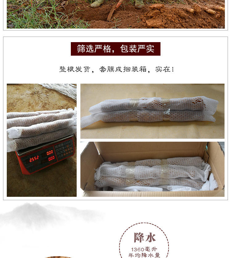 贵安 【安顺·山药】地标产品精品5斤装粉糯可口现挖现发新鲜直达