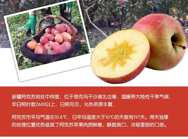 只售正宗阿克苏苹果-保证新鲜好吃-货真价实-新疆阿克苏冰糖心苹果10斤5斤当季新鲜水果红富士年货批发