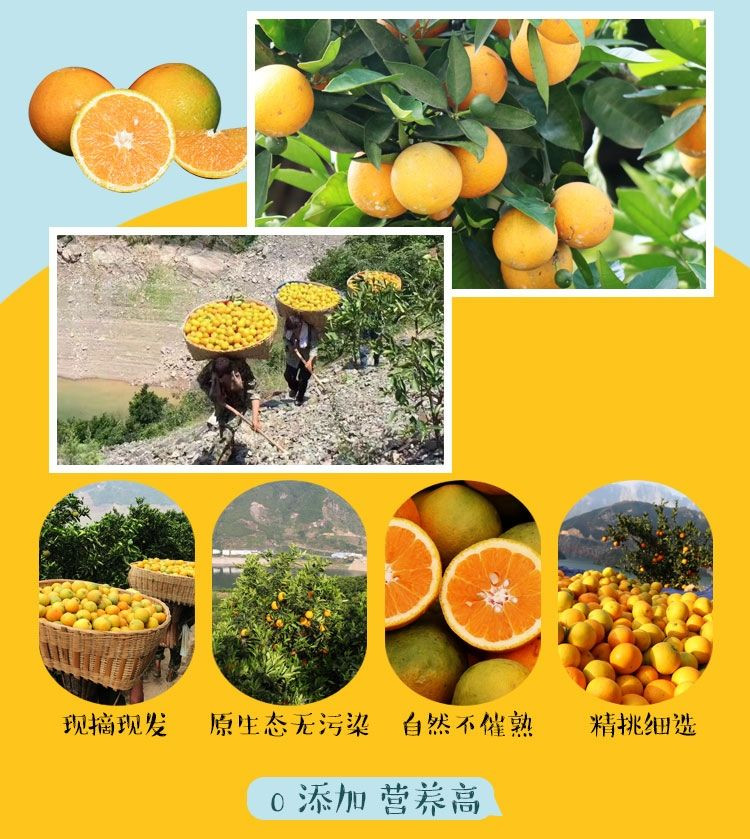 保证好吃甘甜-甜蜜蜜的，馋着甜蜜蜜！【超甜】【夏季鲜橙】秭归脐橙夏橙新鲜橙子孕妇甜橙子非血橙赣南脐橙