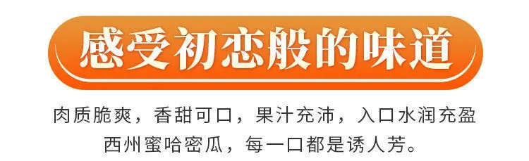 新疆哈密瓜当季新鲜水果批发西州蜜瓜甜瓜网纹瓜一箱多规格