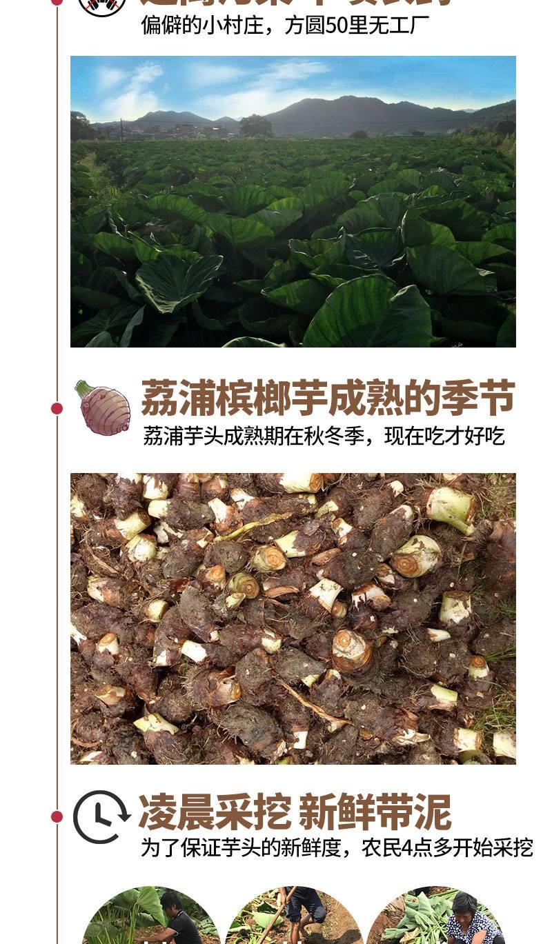 广西荔浦芋头1/3/5斤9斤槟榔香芋毛芋条农家蔬菜新鲜现挖非小香芋