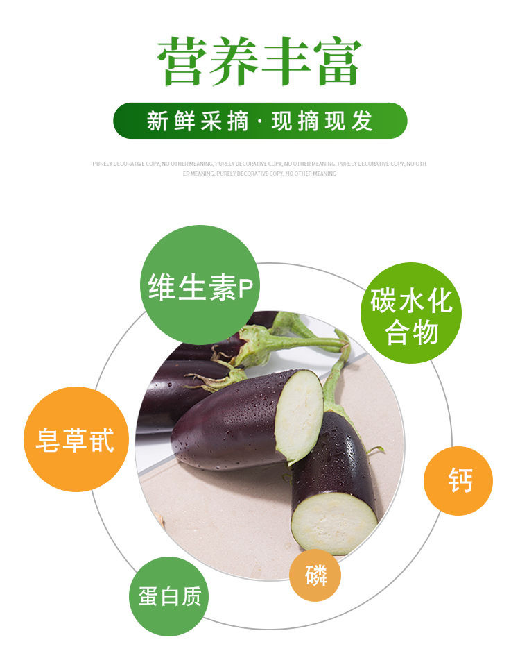 【新鲜现摘】湖南紫色长茄子大茄子紫茄子农家自种现摘当季新鲜蔬菜整箱3/5斤