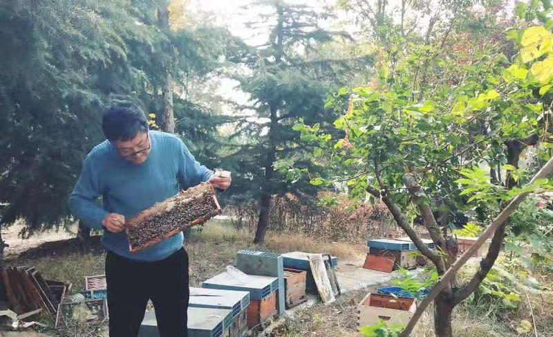 刘牧蜂 蜂蜜 纯天然槐花蜜