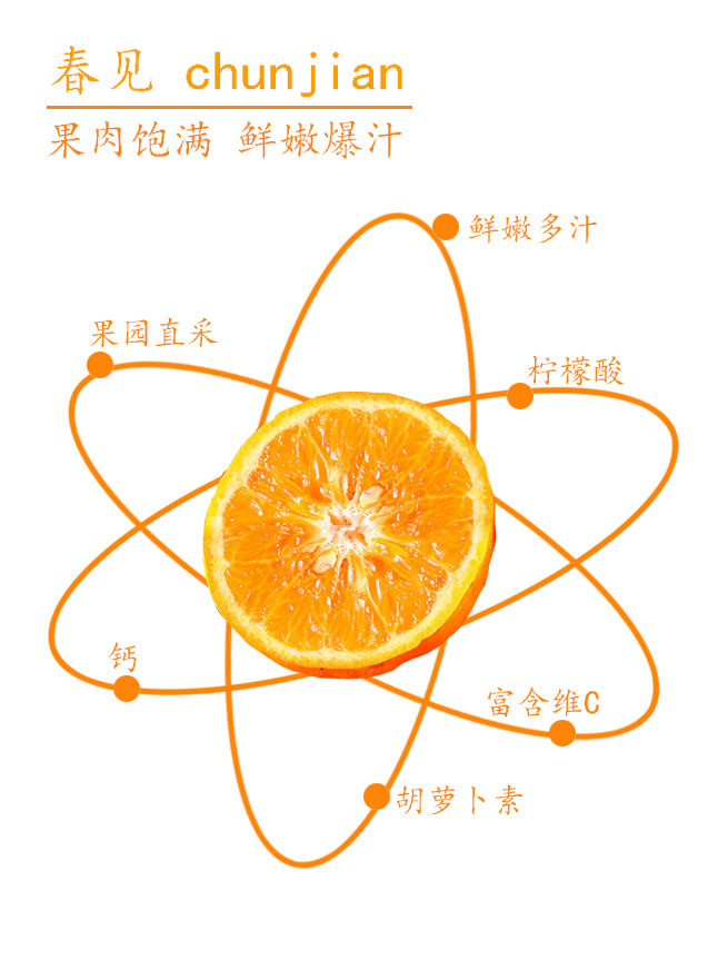 农家自产 德阳罗江春见耙耙柑柑橘新鲜净重9斤单果75-95mm现摘现发