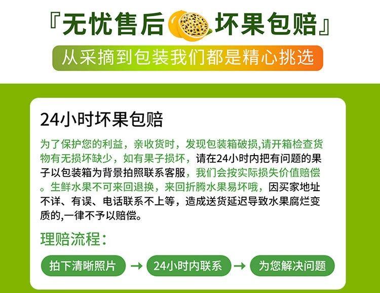 农家自产 德阳罗江春见耙耙柑柑橘新鲜净重9斤单果75-95mm现摘现发