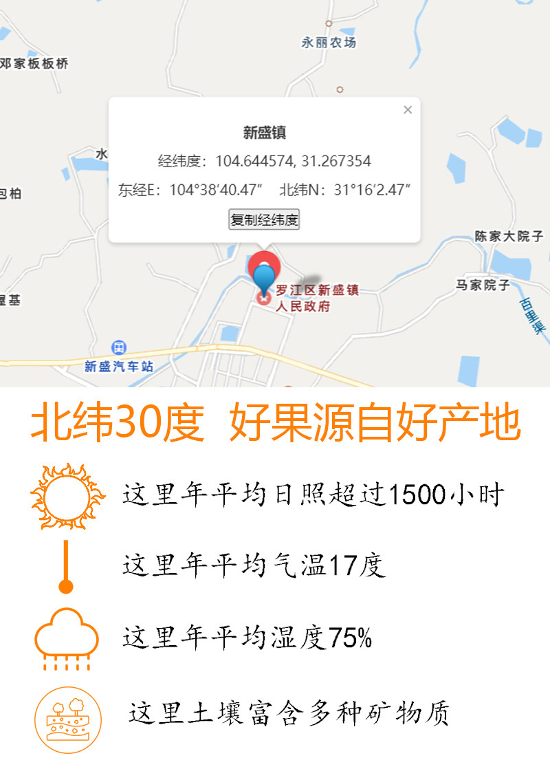 农家自产 德阳罗江春见耙耙柑柑橘新鲜净重9斤单果75-95mm现摘现发