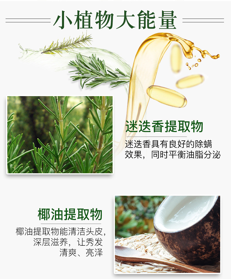 魔香 迷迭香清爽控油洗发水护发素沐浴露 500ml/瓶