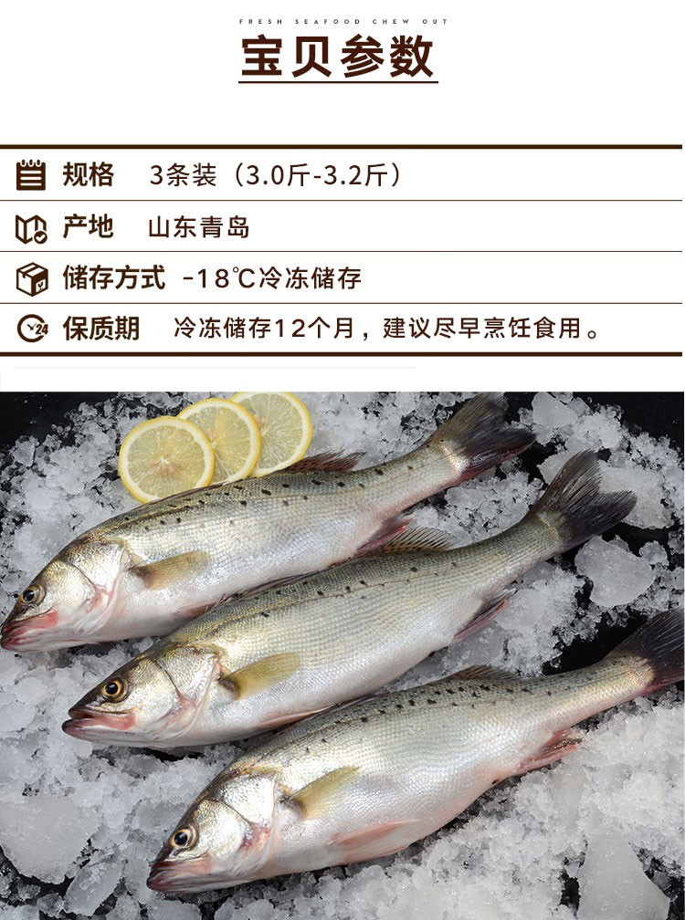 水泽 青岛活冻海鲈鱼1500g 海鲜水产 烧烤食材（两条或三条随机发）