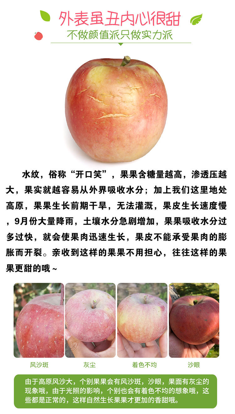【48小时发货】陕西红富士苹果水果5/10斤装（单个80#以上）天然丑苹果汁多味美膜袋苹果包邮