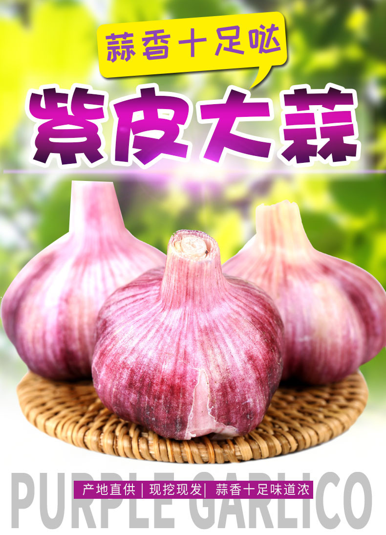 顺丰（48小时发货）云南大理紫皮独头蒜5斤/9斤装 蒜头新鲜鲜蔬菜当季大蒜干蒜蒜瓣整箱包邮