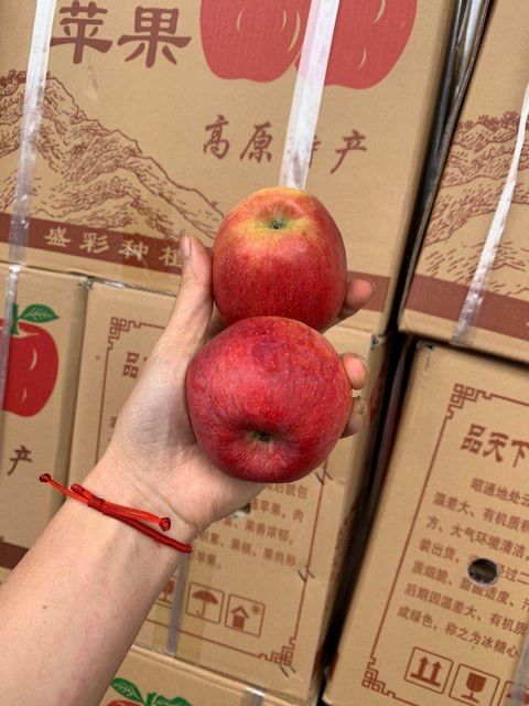 【扶贫助农】云南特产 昭通苹果5斤大果 14-17个左右
