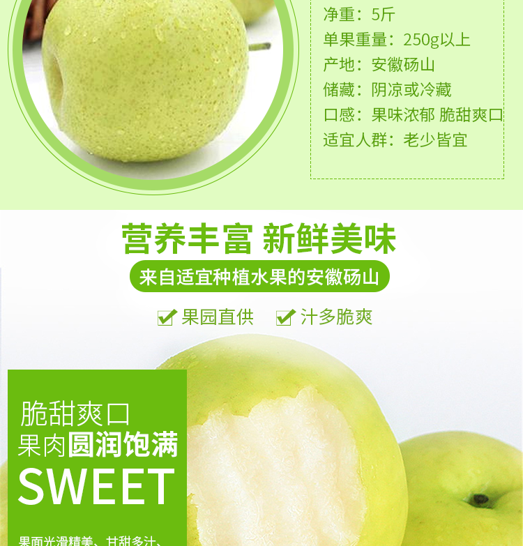 梨子新鲜水果10斤带箱现摘百年皇冠梨青梨苹果梨砀山白酥梨5斤ab