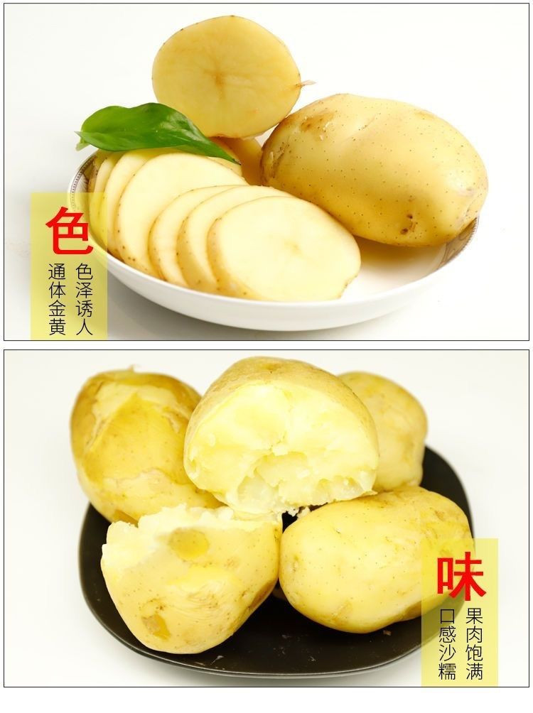 大牛哥 甘肃洋芋农家自种新鲜特产土豆爆皮黄面包邮