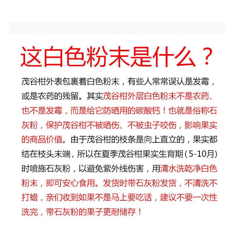 大牛哥 广西茂谷柑石灰沃柑桔子新鲜水果橘子包邮