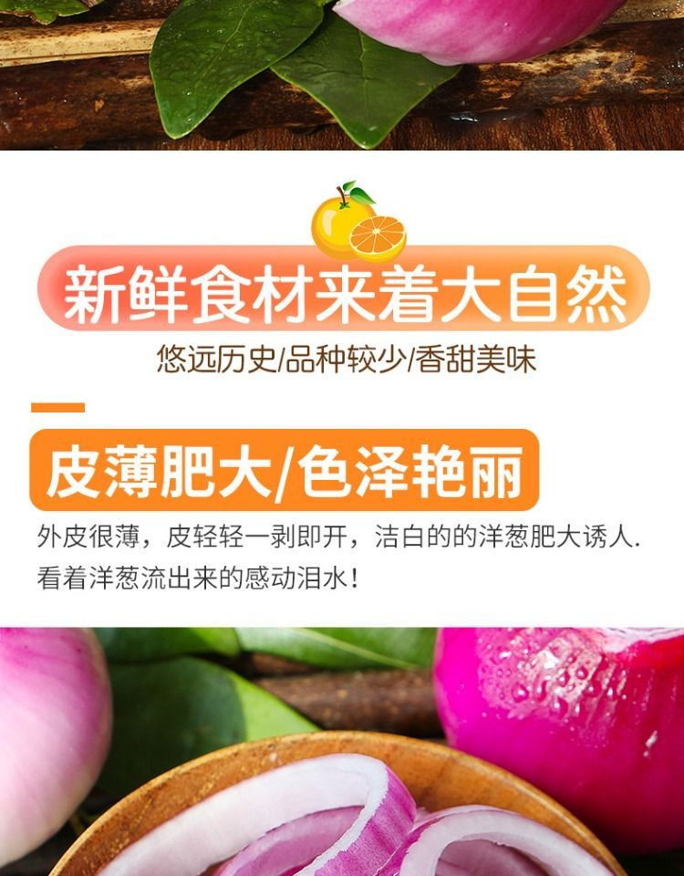 大牛哥 云南紫皮洋葱新鲜水果洋葱头蔬菜批发包邮