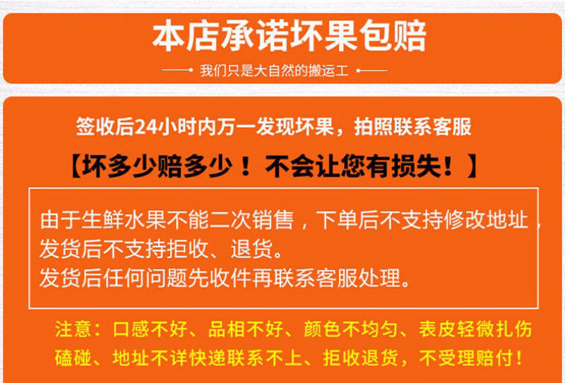 大牛哥 四川青见柑橘果冻橙水果当季孕妇应季水果包邮