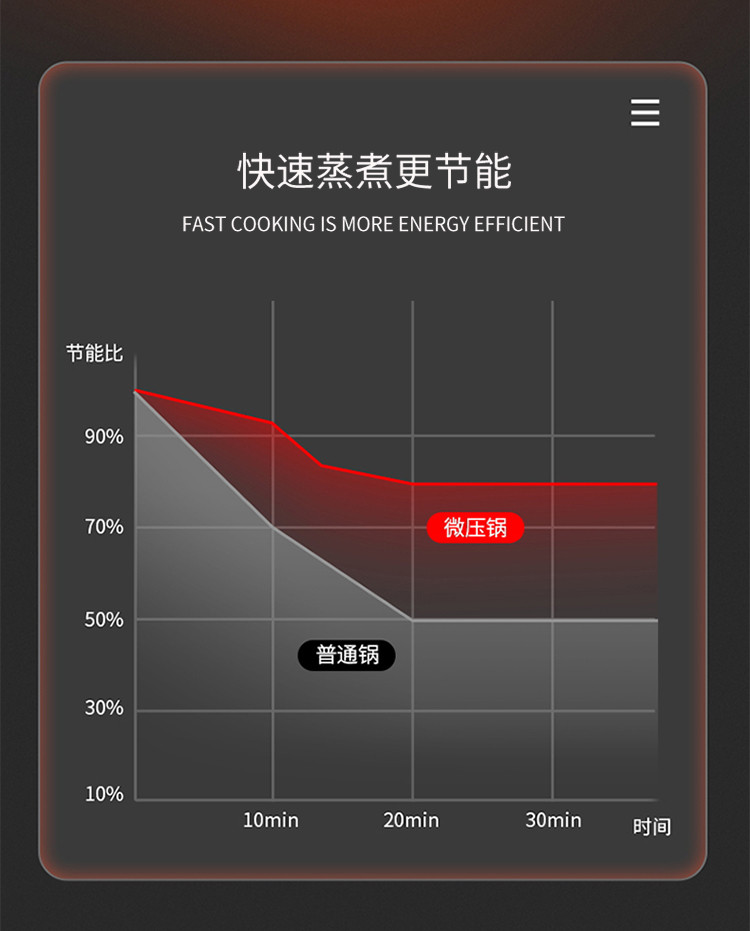 伊弗勒 精铁纳瑞营养微压锅EFFE-V302