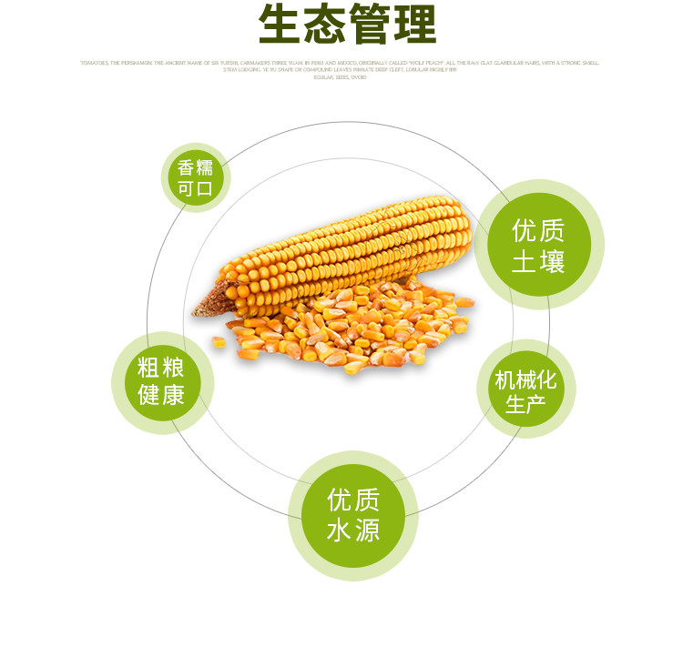 华安粮油玉米，杂粮玉米，玉米杂粮，2019新玉米，0.5kg玉米粒，1斤装玉米粒