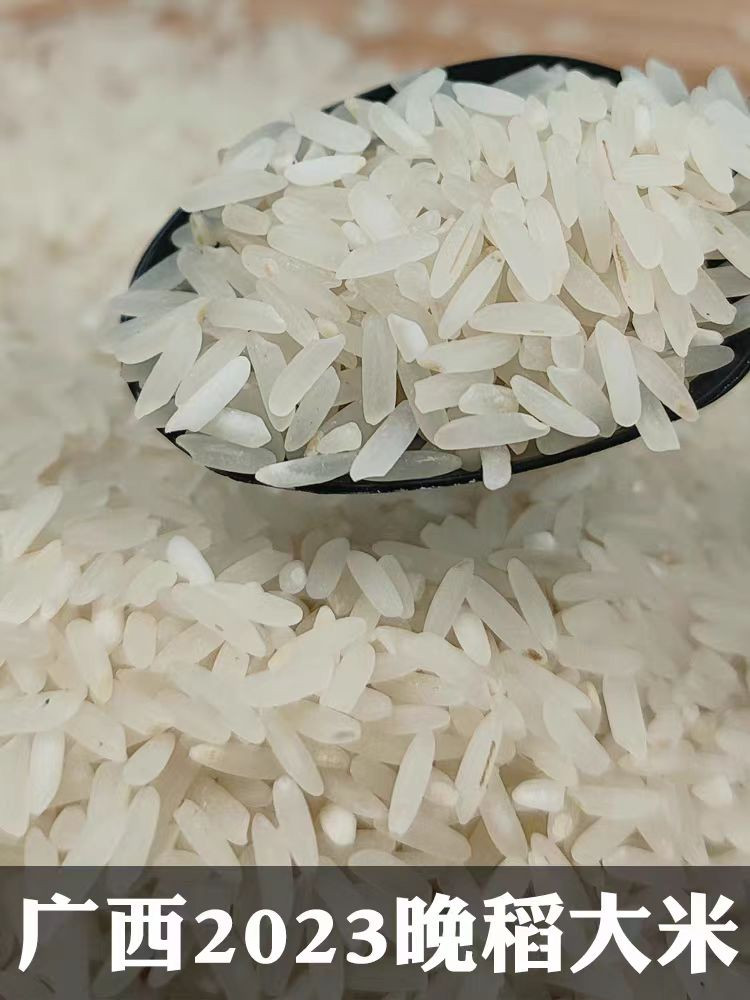 农家自产 2023年晚稻现磨长粒香米5kg/