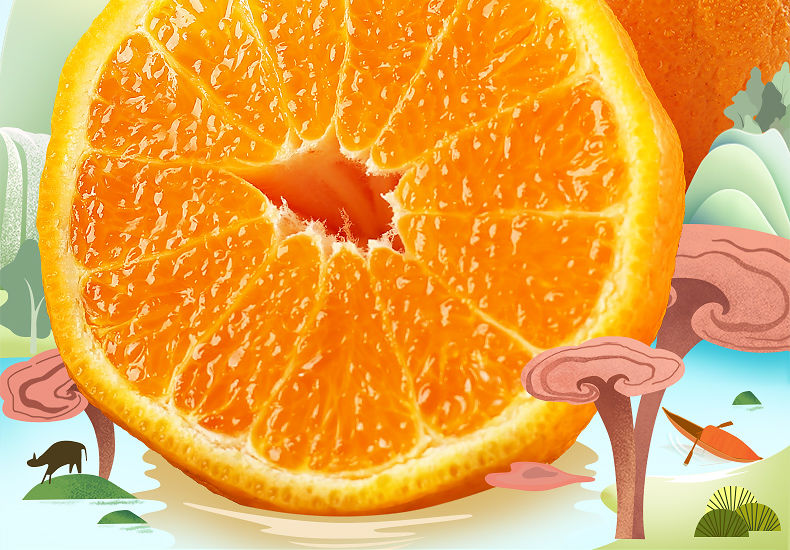 四川橙子新鲜橙子耙耙柑整箱当季水果非丑桔不知火春见