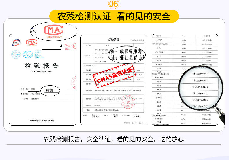 四川橙子新鲜橙子耙耙柑整箱当季水果非丑桔不知火春见