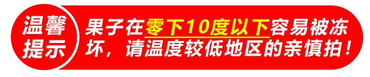 【买三送二实发净重5斤】广西皇帝柑新鲜橘子柑橘水果现摘薄皮桔子贡柑5斤(带箱)包邮