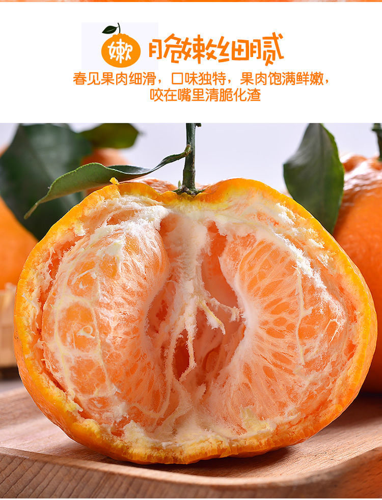 四川春见耙耙柑丑橘子桔子水果新鲜应季水果丑橘子桔子水果粑粑柑