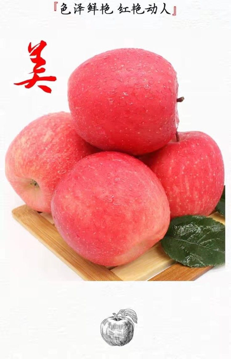 【超甜冰糖心10斤35.8陕西苹果水果红富士10斤脆甜丑苹果批发整箱非烟台