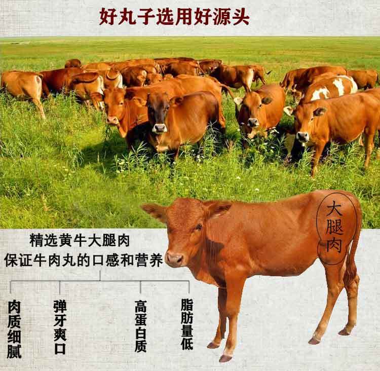 【物美价廉】潮府潮汕牛肉丸牛筋丸特产正宗手打手工汕头肉圆子火锅烧烤生鲜食材