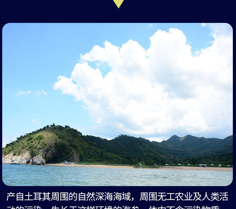 【24小时发货】【送礼营养品】野生即食海参长岛非大连辽刺参【顺风包邮】